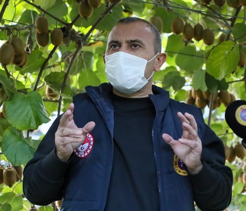 Vali Sonel, Kivi Hasadında Bulundu