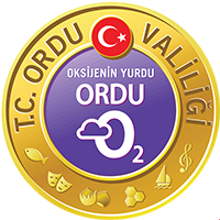Aile, Çalışma ve Sosyal Hizmetler Bakanlığı